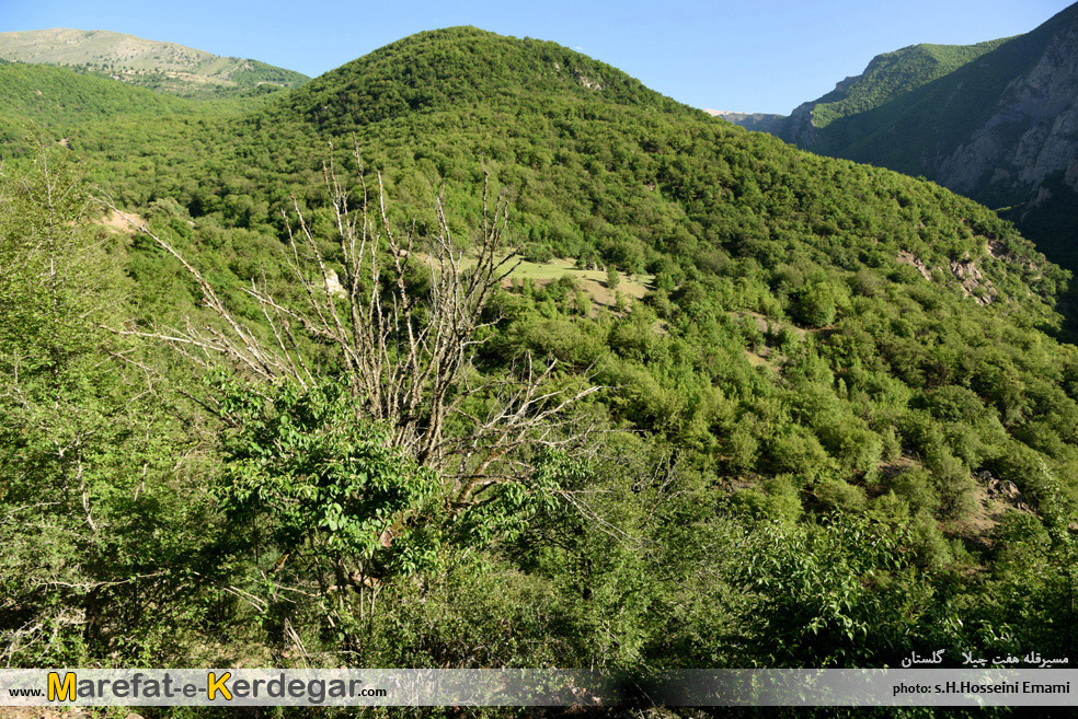 طبیعت بهاری استان گلستان